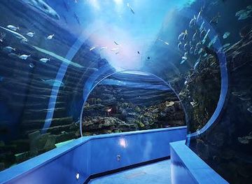 united-arab-emirates/umm-al-quwain/attraction/sharjah-aquarium
