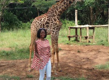 kenya/kisumu/attraction/impala-park-ostrich-pen