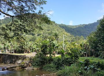 trinidad-and-tobago/mayaro/attraction/cafe-mariposa-gardens