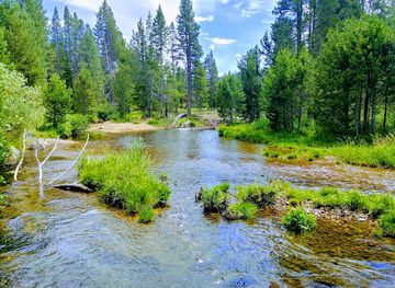 california/lake-tahoe/attraction/washoe-meadows-state-park