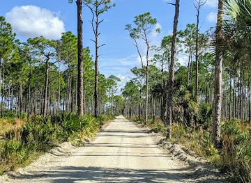 florida/southwest-florida/attraction/fred-c-babcock-cecil-m-webb-wildlife-management-area