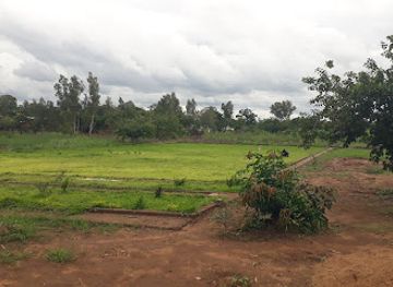 malawi/kasungu-plain/attraction/kasungu-park