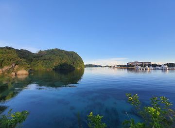 palau/babeldaob/attraction/koror-island