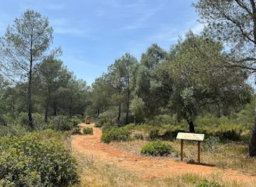 spain/mallorca/attraction/centre-de-mallorca