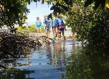 aruba/fontein-cave/attraction/clear-kayak-aruba