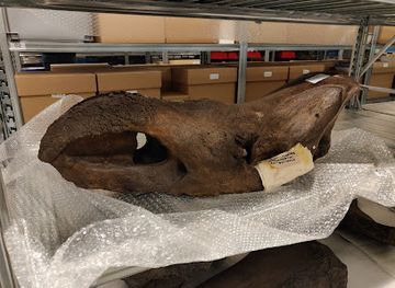 belgium/land-of-waas/attraction/erfpunt-archeologie-bouwkundig-en-landschappelijk-erfgoed