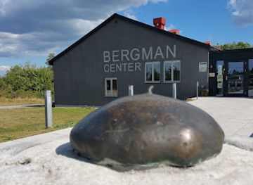 sweden/gotaland/attraction/bergman-centre-on-faro