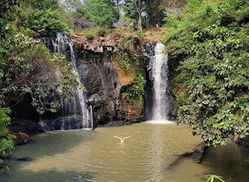 cambodia/ratanakiri-province/attraction/sonatrekking-tours-jungle-trekking-cambodia