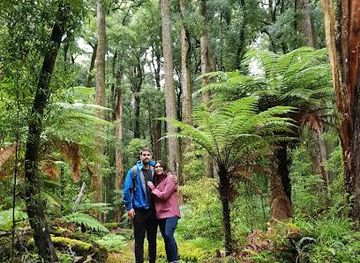 new-zealand/taupo/attraction/foris-eco-tours