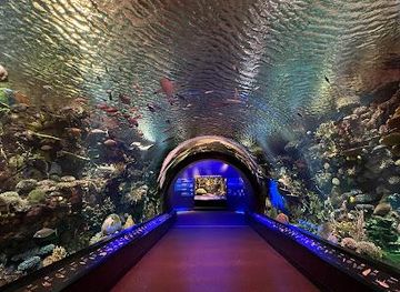 new-jersey/jersey-city/attraction/new-york-aquarium