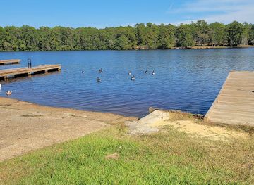 De Soto National Forest