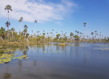 peru/tambopata-national-reserve/attraction/lago-yacumama