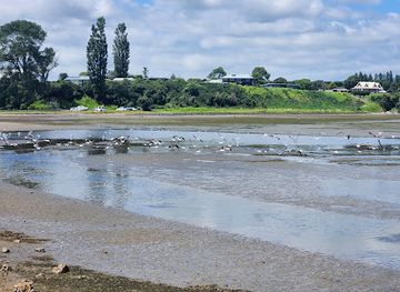 new-zealand/tauranga/attraction/matapihi-cycleway