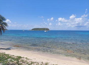 puerto-rico/vieques-island/attraction/playa-la-esperanza