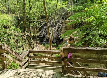 mississippi/desoto-national-forest/attraction/clark-creek-natural-area