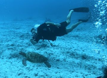 cook-islands/rarotonga/attraction/trader-s-reef