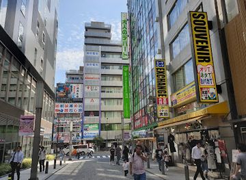 japan/tokyo/akihabara/attraction/akihabara-park