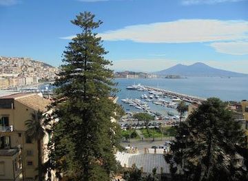 italy/pompeii/attraction/project-napoli-service