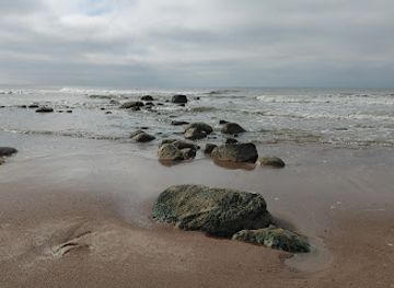 lithuania/palanga-beach/attraction/gelbetoju-bokstelis-auska