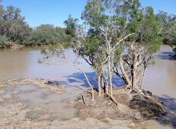 australia/southern-queensland/attraction/welford-national-park