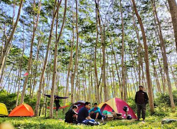 indonesia/togean-islands/attraction/wisata-pohon-sengon-desa-uemakuni