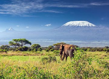 tanzania/kilimanjaro-region/attraction/best-buy-safaris-tanzania-safari-serengeti-migration-mount-kilimanjaro-climbing-zanzibar-tour-operator-and-day-trips-tour