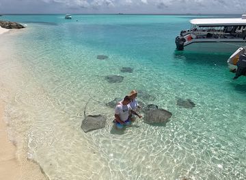 maldives/dhaalu-atoll/attraction/stingray-observation-point