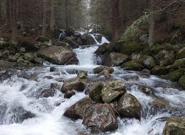 bulgaria/rila/attraction/yavorova-polyana