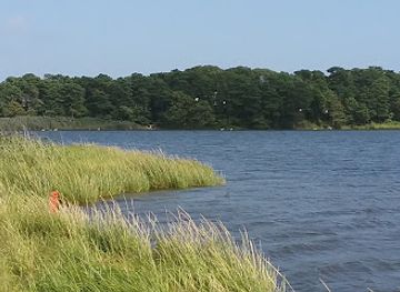massachusetts/cape-cod/attraction/swan-pond-boardwalk