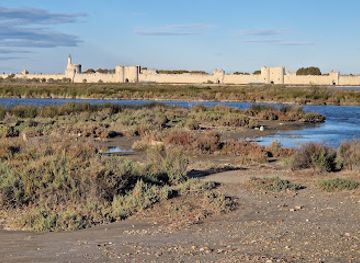 france/camargue/attraction/musee-du-sel