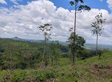 nicaragua/pearl-cays/attraction/cerro-silva-natural-reserve