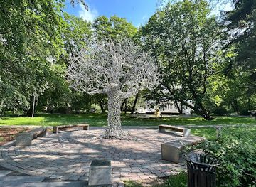 latvia/pape-nature-reserve/attraction/spoku-koks-tree-of-ghosts