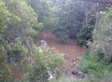 Yungaburra Platypus Viewing Platform