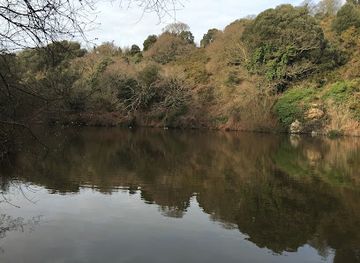 jersey/saint-saviour/attraction/st-catherine-s-woods