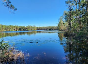 florida/daytona-beach/attraction/tiger-bay-state-forest