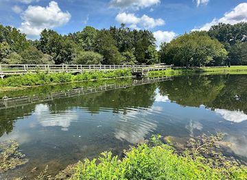 kentucky/bernheim-arboretum-and-research-forest/attraction/mama-loumari