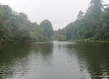 Dimmingsdale Valley & Furnace Forest Walks- Forestry England