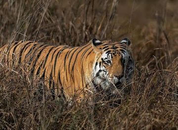 tanzania/kilimanjaro-region/attraction/miso-adventure-safaris-kilimanjaro-hiking-tanzania-top-travel-agency-in-arusha-and-moshi