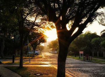 united-arab-emirates/sharjah/attraction/green-community-village