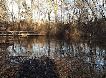 connecticut/long-island-sound/attraction/ct-audubon-birdcraft-museum