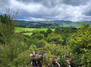 new-zealand/masterton/attraction/fensham-reserve-bush-walk