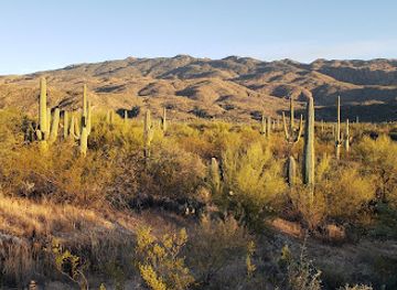 arizona/saguaro-national-park/attraction/loma-verde-trailhead