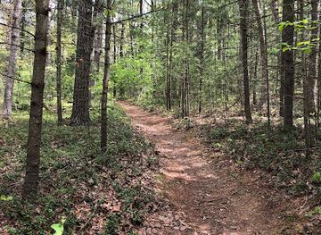 pennsylvania/lower-susquehanna-valley/attraction/hoverter-sholl-box-huckleberry-natural-area