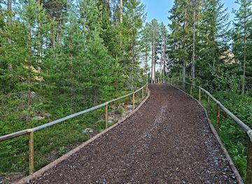 sweden/halsingland/attraction/expedition-vargnatt-jarvzoo