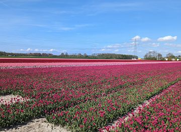 netherlands/bollenstreek/attraction/naturalis-biodiversity-center