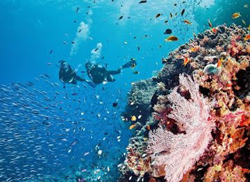 papua-new-guinea/southern-region/attraction/kimbe-bay