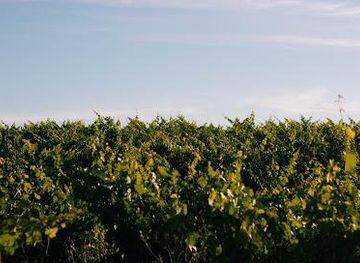 portugal/evora/attraction/casa-relvas