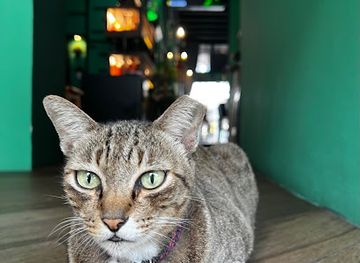 singapore/east-coast-park/attraction/bubu-the-bouncer