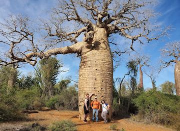 madagascar/atsimo-andrefana/attraction/reserve-reniala