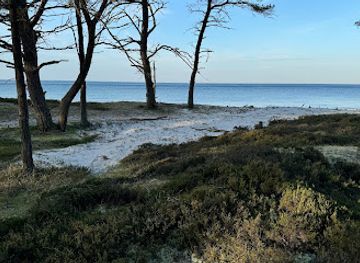 denmark/bornholm/attraction/stavehol-vandfald-ved-kobbea